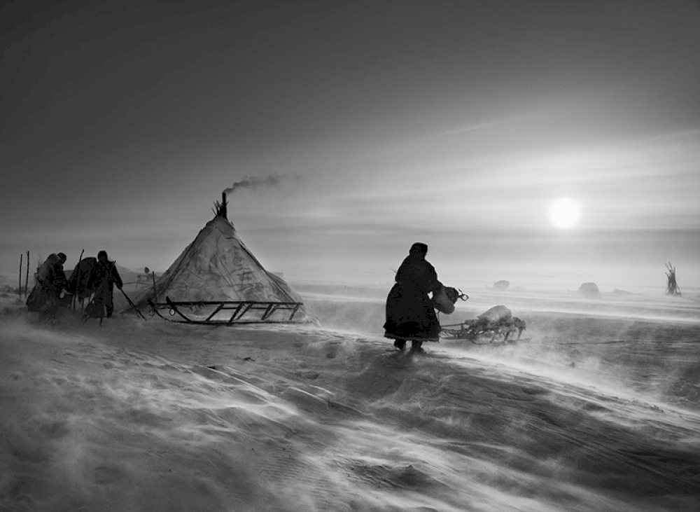 When the weather is particularly hostile, the Nenets and their reindeer may spend several days in the same place. North of the Ob River, inside the Arctic Circle. Yamal Peninsula. Siberia. Russia. 2011. © Sebastião Salgado / Amazonas images