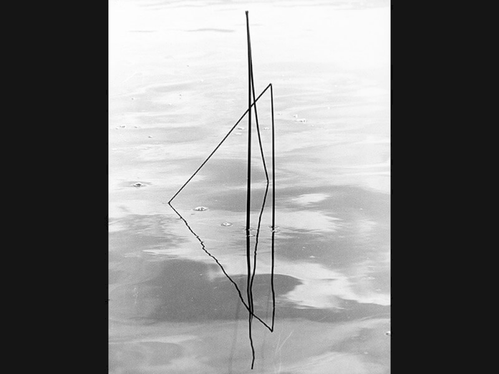 Peter Keetman: Halm im Wasser, 1970 © Nachlass Peter Keetman / Stiftung F.C. Gundlach