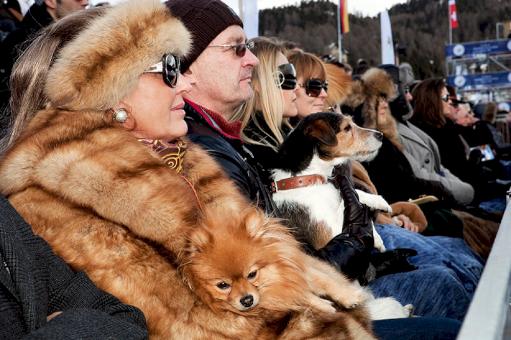 From ‘Luxury’. Snow Polo World Cup. St Moritz. SWITZERLAND 2011 © Martin Parr / Magnum Photos und Kunstfoyer
