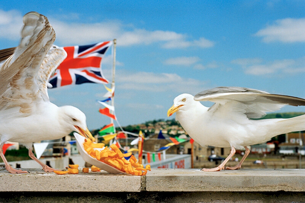 From ‘Think of England’. West Bay. Dorset. England. GB 1996 © Martin Parr/Magnum Photos und Kunstfoyer