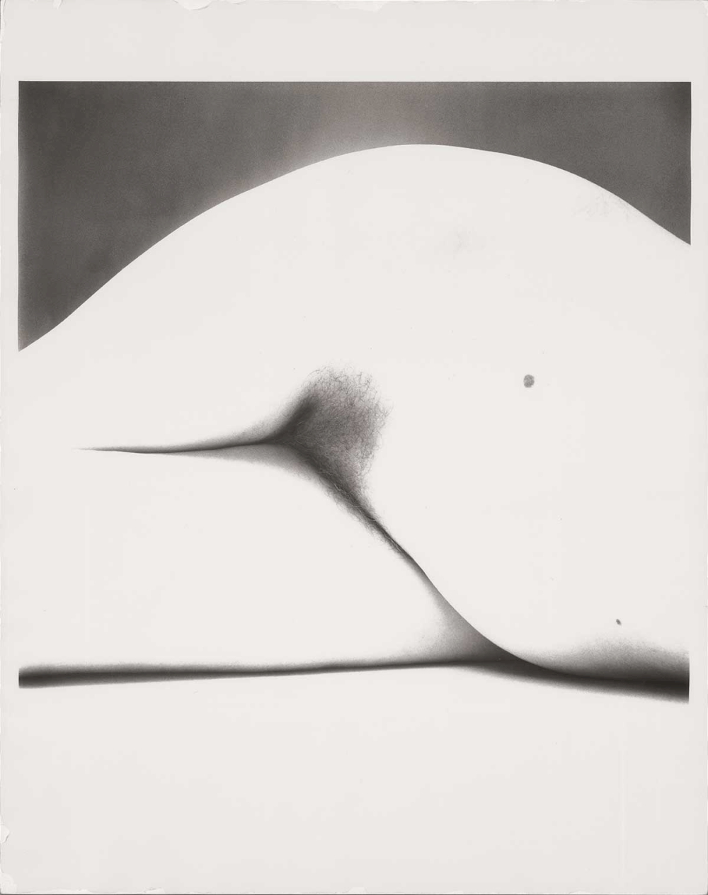 Irving Penn, Nude No. 147, New York ca. 1949-1950 © The Irving Penn Foundation