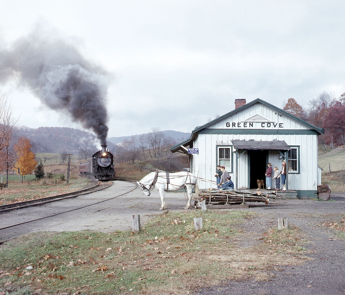 Old Maud bows to the Virginia Creeper, Green Cove, Virginia 1956, © O. Winston Link, Image Courtesy of the O. Winston Link Museum