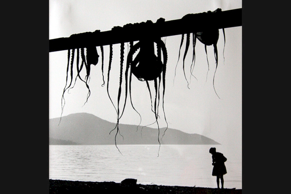 Oktopedi, Thasos 1961 © Nachlass Toni Schneiders/Stiftung F.C. Gundlach